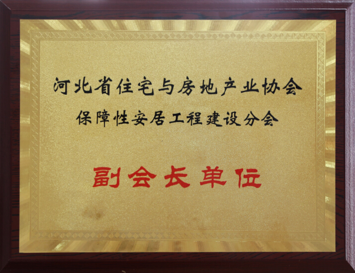 副會長單位 河北省住宅與房地產(chǎn)業(yè)協(xié)會保障性安居工程建設(shè)分會